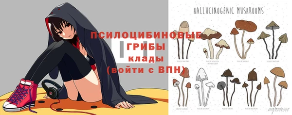 тгк Медногорск