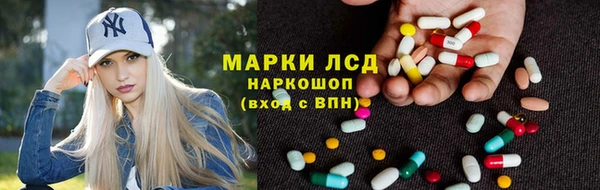 сатива Магадан