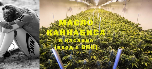 тгк Медногорск