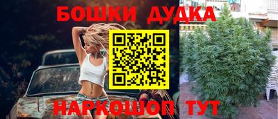 альфа пвп Аргун