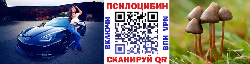 Псилоцибиновые грибы Psilocybine cubensis ссылка на мегу ссылки Кимры