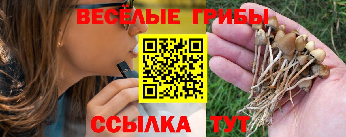 Галлюциногенные грибы Magic Shrooms  Псилоцибиновые грибы Magic Shrooms  Вход с VPN  Кимры 