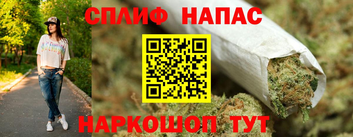 Бошки Шишки OG Kush  Шишки марихуана план  Бошки марихуана гибрид  Кимры 